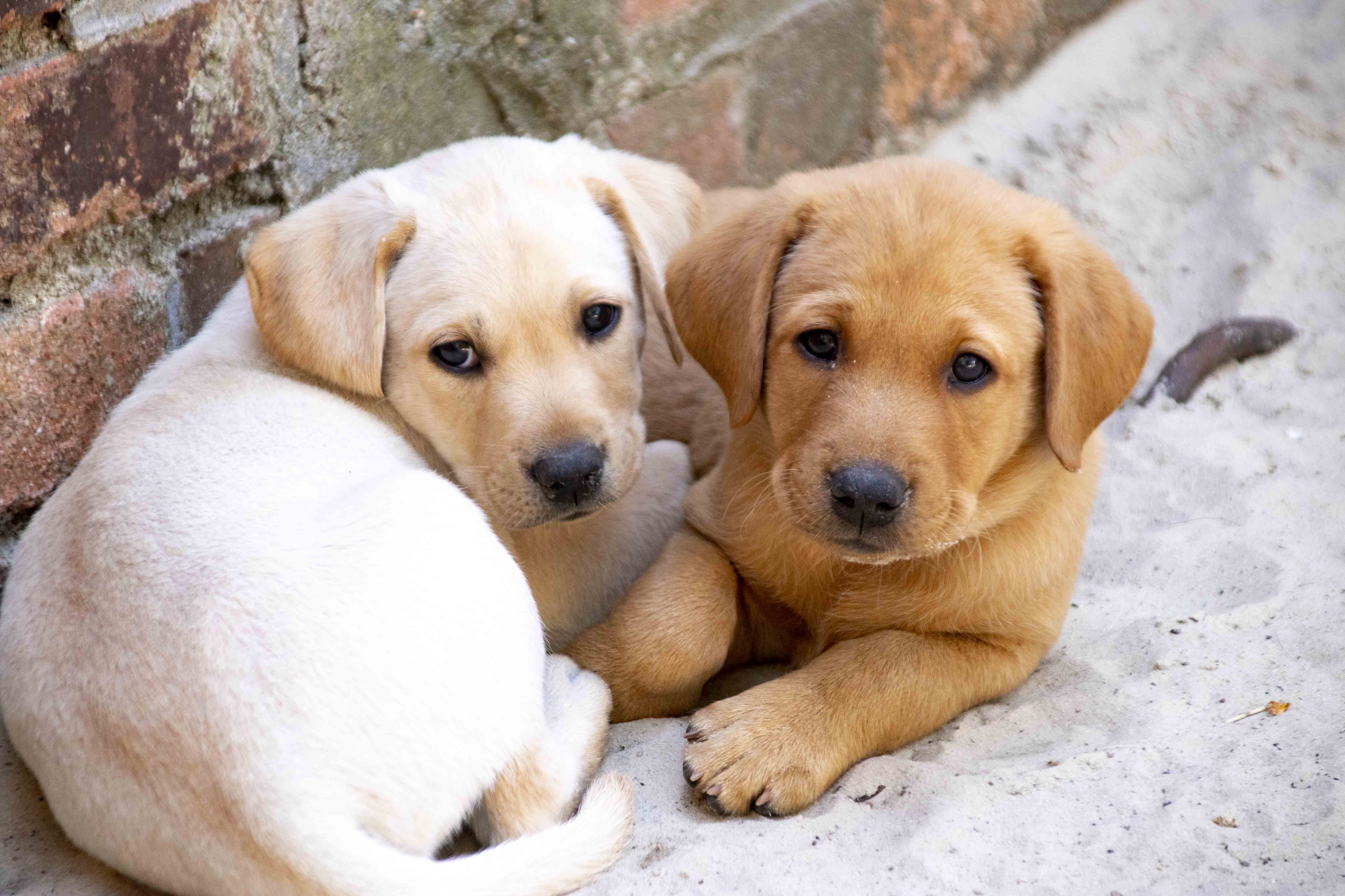 Marlo und Willi vor knapp 2 Jahren!